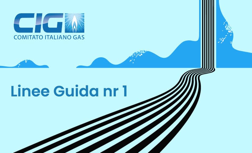 Dichiarazione gas, il logo del CIG